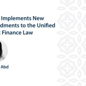 Egypt Implements New Amendments to the Unified Public Finance Law