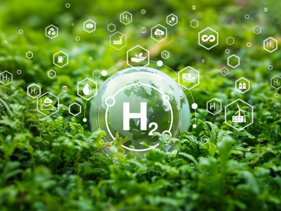 Issuance of New Law on Incentives for Green Hydrogen Projects